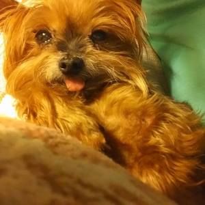 Meet your Posher, Sheri